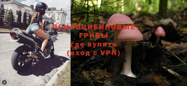 МДПВ Лиски